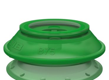 Suction cup B75P.4E